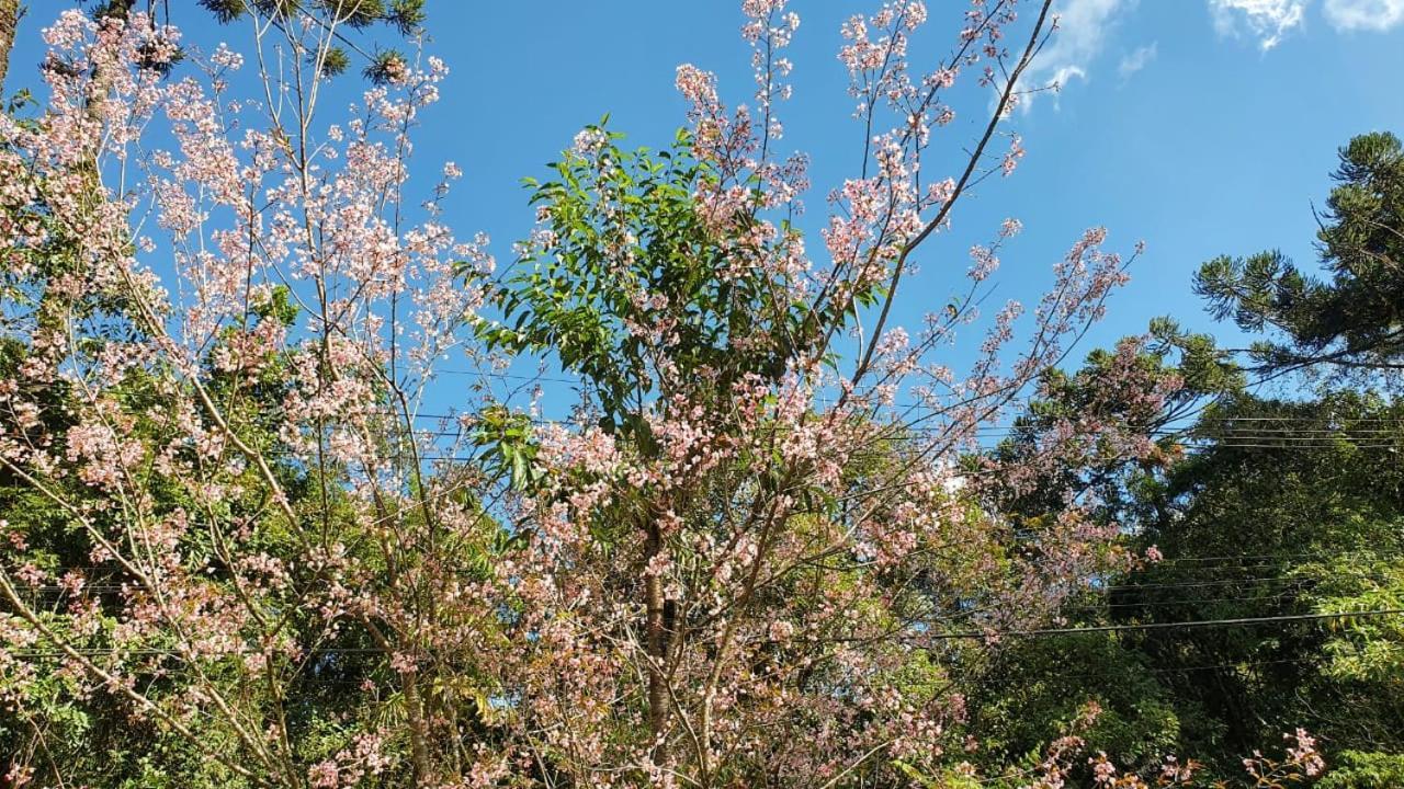 Pousada Toque De Minas Visconde De Maua Exteriör bild