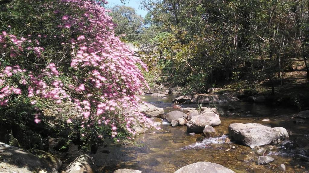 Pousada Toque De Minas Visconde De Maua Exteriör bild
