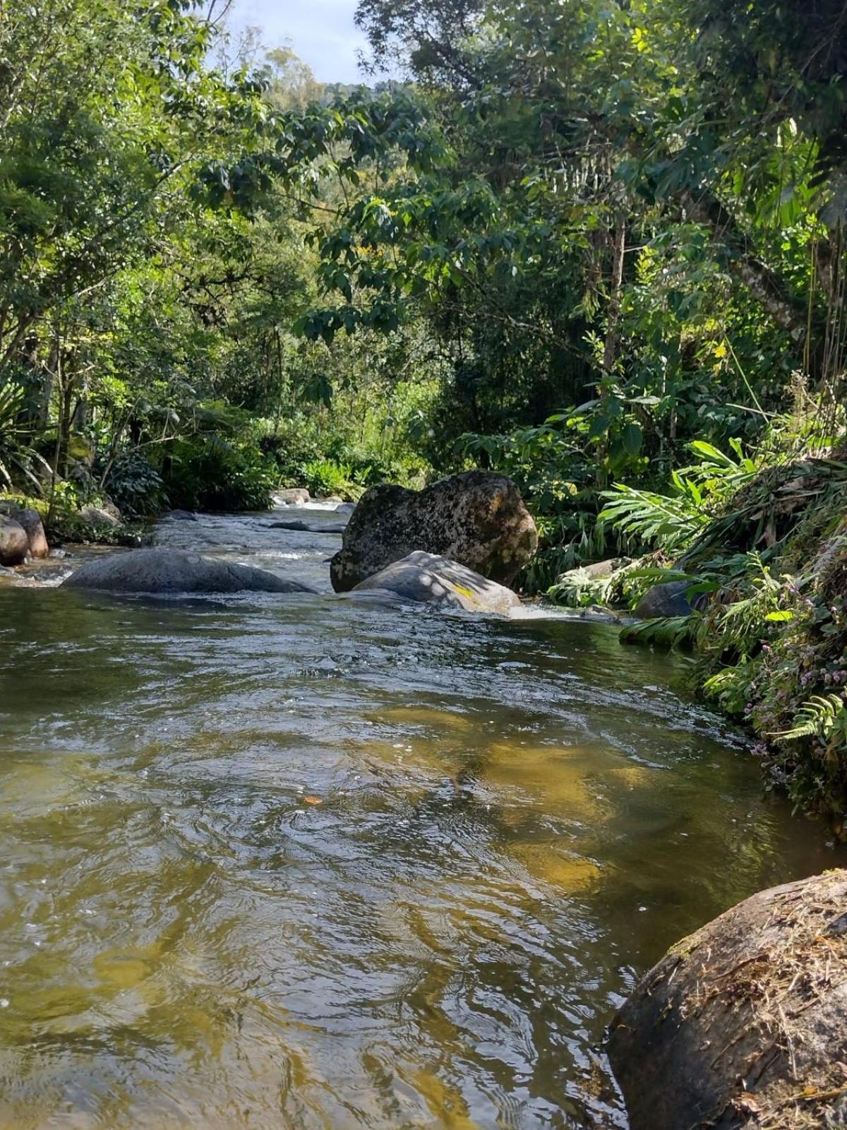 Pousada Toque De Minas Visconde De Maua Exteriör bild